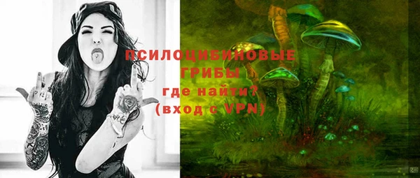 прущие грибы Алексин