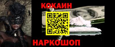 гашик Котовск