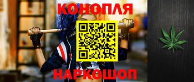 гашик Котовск