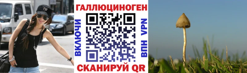 магазин    Киреевск  Галлюциногенные грибы Magic Shrooms 