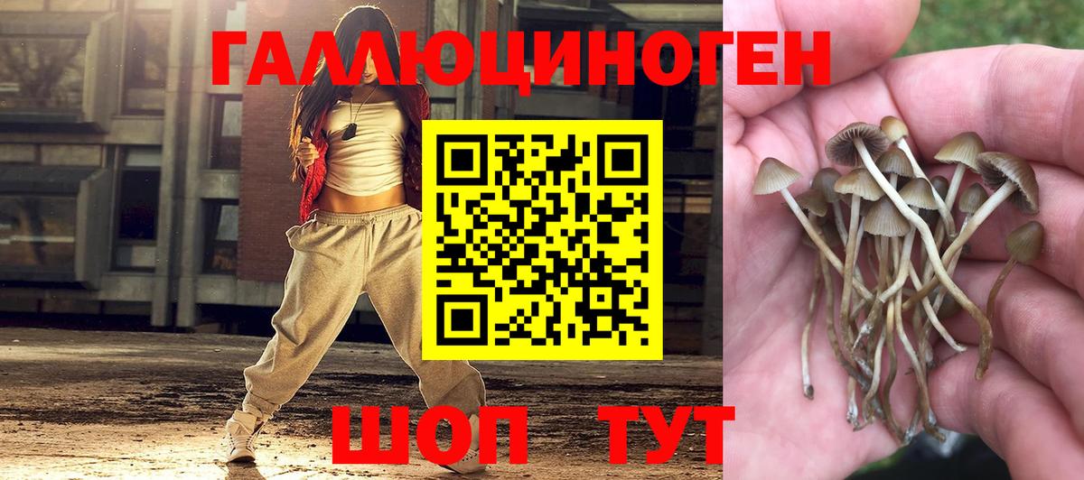 Галлюциногенные грибы прущие грибы  Вход с VPN  Киреевск 
